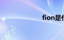 fion是什么牌子