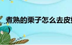 煮熟的栗子怎么去皮好（煮熟的栗子怎么去皮）