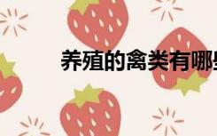 养殖的禽类有哪些（禽类有哪些）