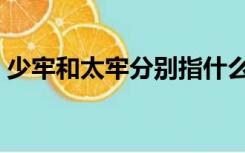 少牢和太牢分别指什么（太牢和少牢的区别）