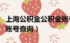 上海公积金公积金账号怎么查询（上海公积金账号查询）