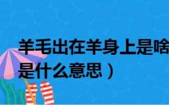 羊毛出在羊身上是啥意思?（羊毛出在羊身上是什么意思）
