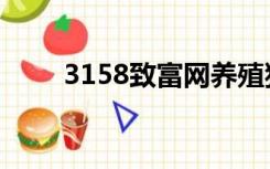3158致富网养殖狗（3158致富网）