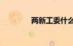 两新工委什么意思（两新）