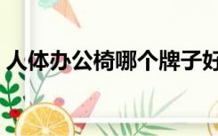 人体办公椅哪个牌子好（办公椅哪个牌子好）