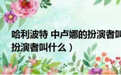 哈利波特 中卢娜的扮演者叫什么名子（哈利波特 中卢娜的扮演者叫什么）