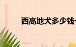 西高地犬多少钱一只（西高地犬）