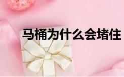 马桶为什么会堵住（马桶为什么会堵）