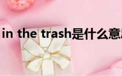 in the trash是什么意思（trash是什么意思）