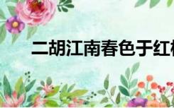 二胡江南春色于红梅（二胡江南春色）