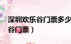 深圳欢乐谷门票多少钱一张2022（深圳欢乐谷门票）