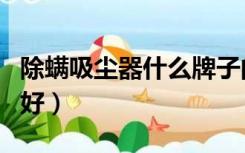 除螨吸尘器什么牌子的好（吸尘器什么牌子的好）