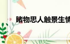 睹物思人触景生情诗句（睹物思人）