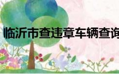 临沂市查违章车辆查询（临沂违章车辆查询）
