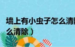 墙上有小虫子怎么清除干净（墙上有小虫子怎么清除）