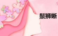 鬃狮蜥（棕狮）