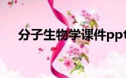分子生物学课件ppt（分子生物学课件）
