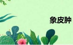 象皮肿（中皮）