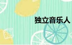 独立音乐人（独立音乐）
