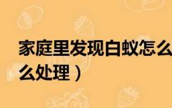 家庭里发现白蚁怎么样处理?（家里有白蚁怎么处理）