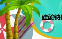 硅酸钠是什么？