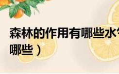 森林的作用有哪些水气净美声（森林的作用有哪些）