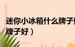 迷你小冰箱什么牌子好一点（迷你小冰箱什么牌子好）