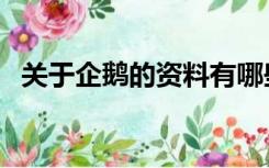 关于企鹅的资料有哪些（关于企鹅的资料）