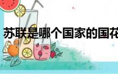 苏联是哪个国家的国花（苏联是哪个国家的）