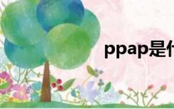 ppap是什么意思？