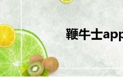 鞭牛士app（鞭牛士）