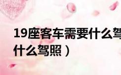 19座客车需要什么驾照驾驶（19座客车需要什么驾照）
