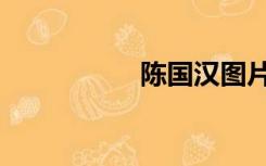 陈国汉图片（陈国汗）