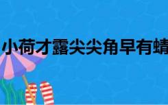 小荷才露尖尖角早有蜻蜓立上头这是什么意思