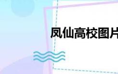 凤仙高校图片（凤仙高校）