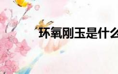 环氧刚玉是什么（刚玉是什么）