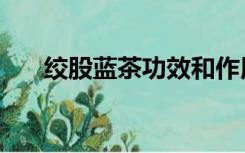 绞股蓝茶功效和作用（绞股蓝茶功效）