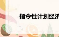 指令性计划经济（指令性计划）