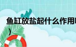 鱼缸放盐起什么作用呢（鱼缸放盐起什么作用）