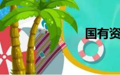 国有资产处置