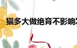 猫多大做绝育不影响发腮（猫多大做绝育）