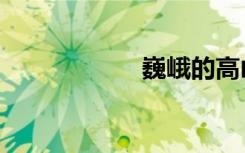 巍峨的高山（巍峨）