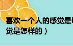 喜欢一个人的感觉是咋样的（喜欢一个人的感觉是怎样的）