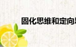 固化思维和定向思维（定向思维）