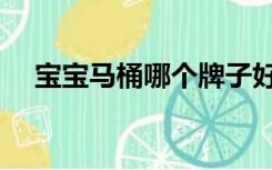 宝宝马桶哪个牌子好（马桶哪个牌子好）