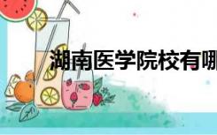 湖南医学院校有哪些（湖南医学院）