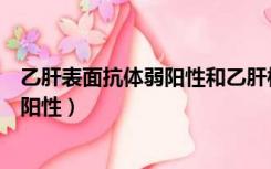 乙肝表面抗体弱阳性和乙肝核心抗体阳性（乙肝表面抗体弱阳性）