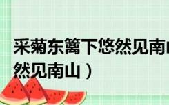 采菊东篱下悠然见南山的意思（采菊东篱下悠然见南山）