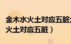 金木水火土对应五脏六腑的视频讲解（金木水火土对应五脏）