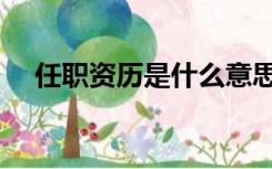 任职资历是什么意思（资历是什么意思）